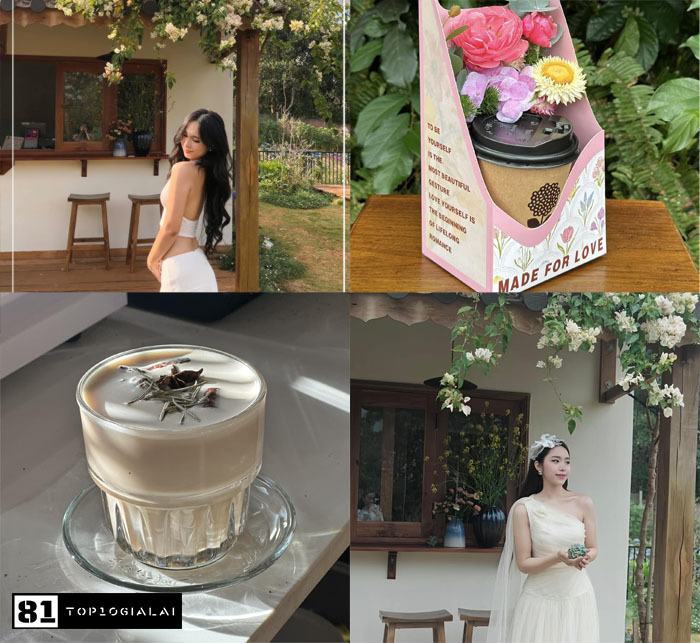 Morii Chill & Cottage