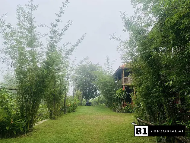 Homestay Gia Lai - Angui