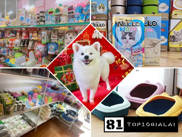 Thế giới thú cưng Gia Lai