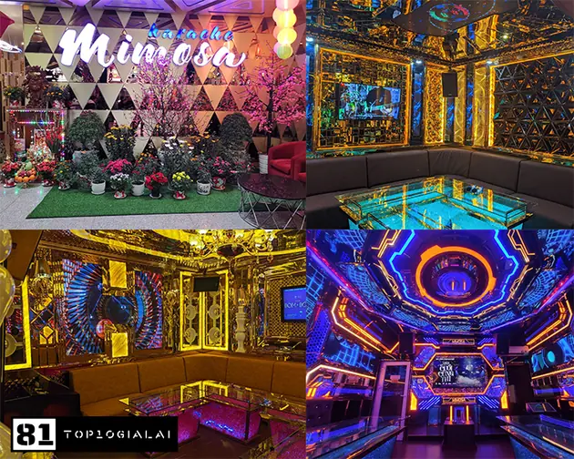 Karaoke Gia Lai - Mimosa