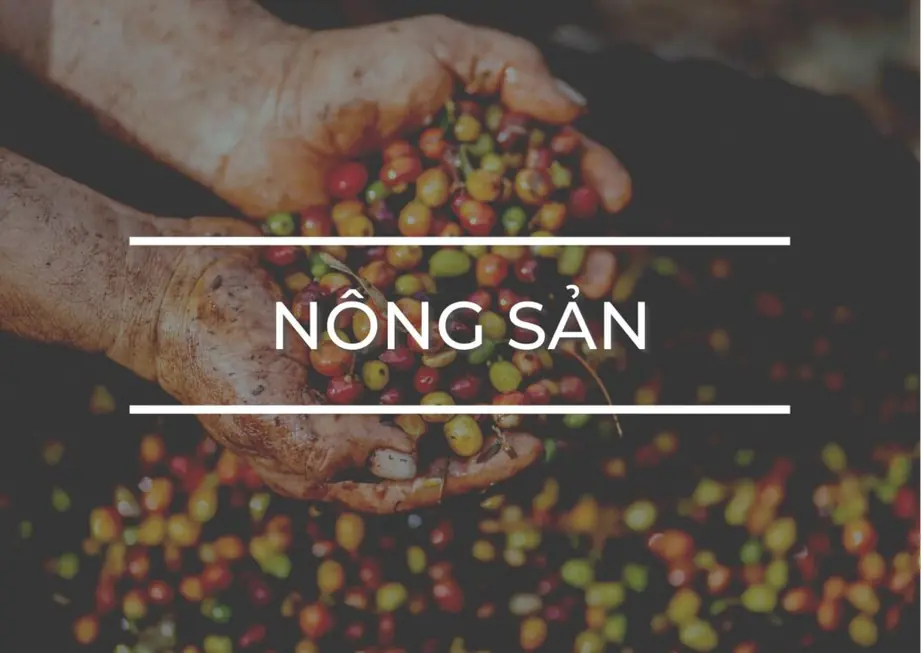 Mua nông sản tại Gia Lai
