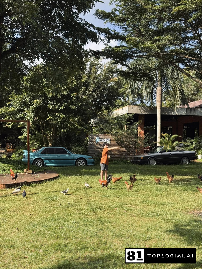 Homestay Gia Lai - Paksong Farmstay