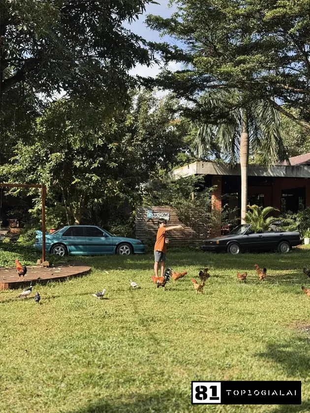 Homestay Gia Lai - Paksong Farmstay