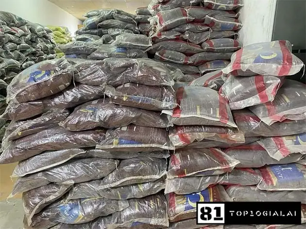 Phụ kiện thú cưng Gia Lai