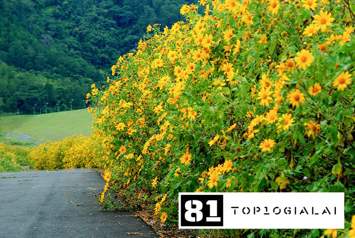 Chư Đăng Ya điểm du lịch Gia Lai