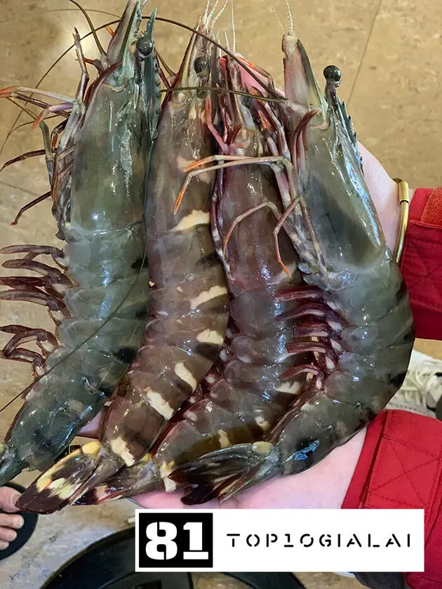 Hải sản 61 Yên Đỗ Gia Lai