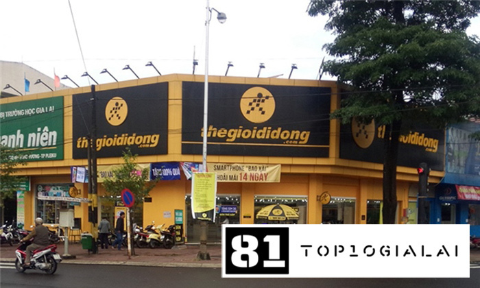 Thegioididong Gia Lai