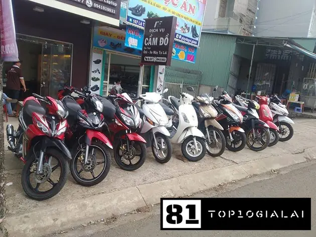 Thuê xe Pleiku Gia Lai