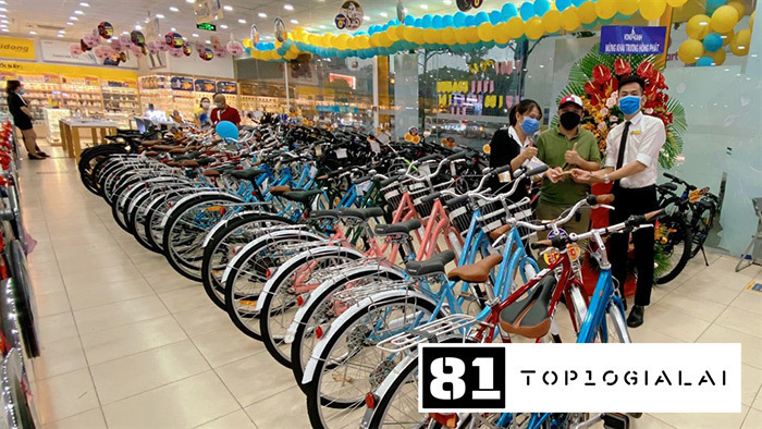 Xe đạp Điện Máy Xanh