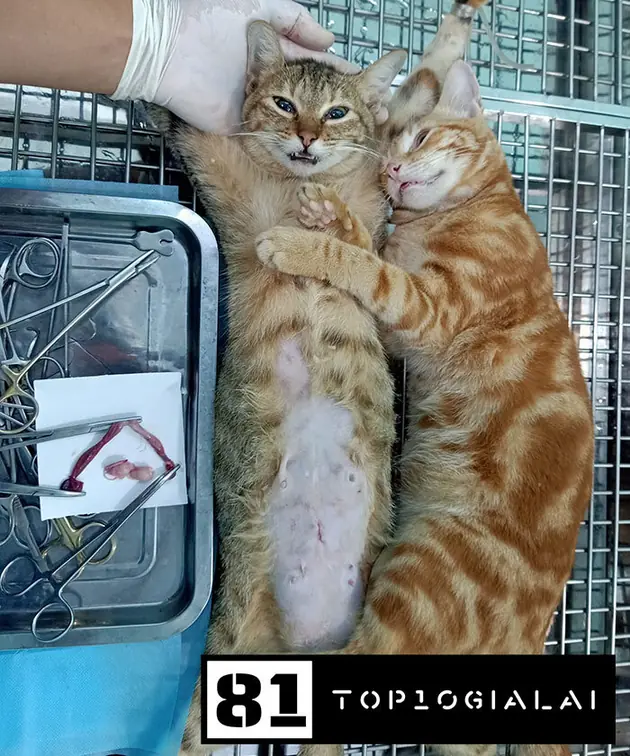 Phòng khám Dương Cốc