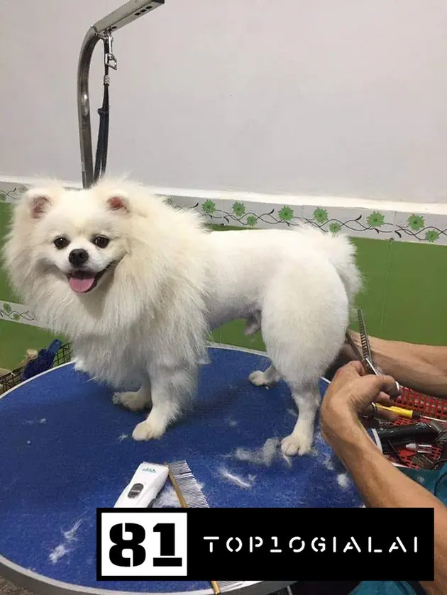 Phòn khám hiếu thuân