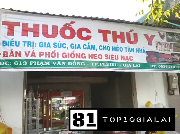 Thú y Gia Lai Nam An