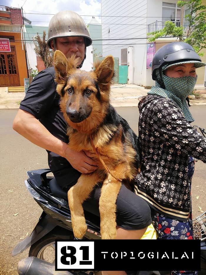 Phòng khám Vũ Trường