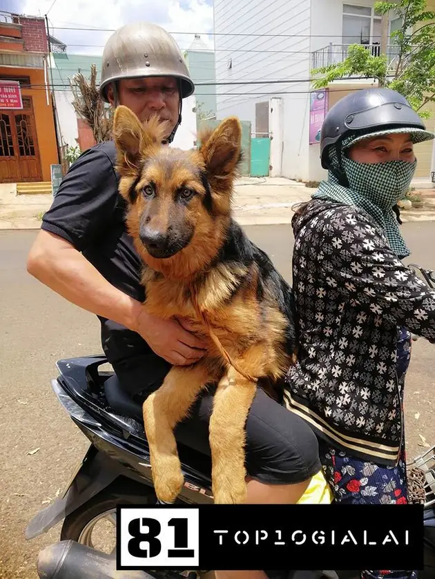 Phòng khám Vũ Trường