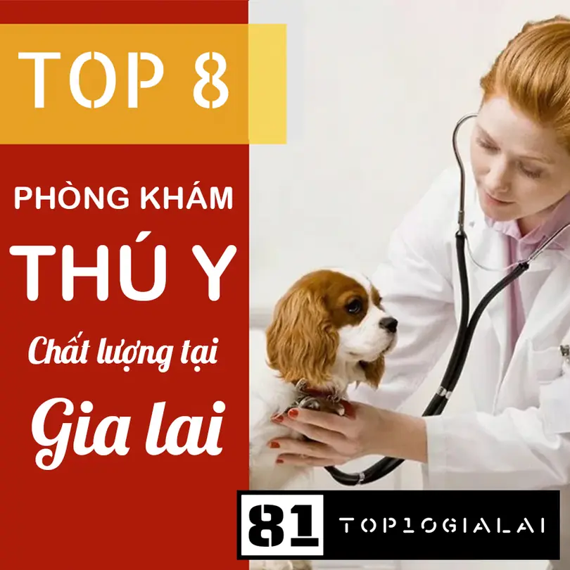 Phòng Khám Thú Y Gia Lai