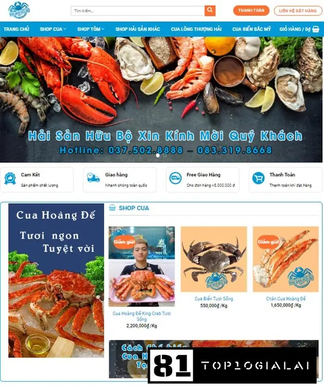 marketing gia lai KTC