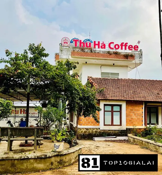 hạt cà phê Thu Hà Gia Lai