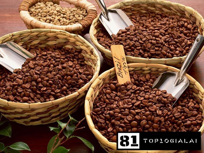 Công ty TNHH Hoa Trang Pleiku