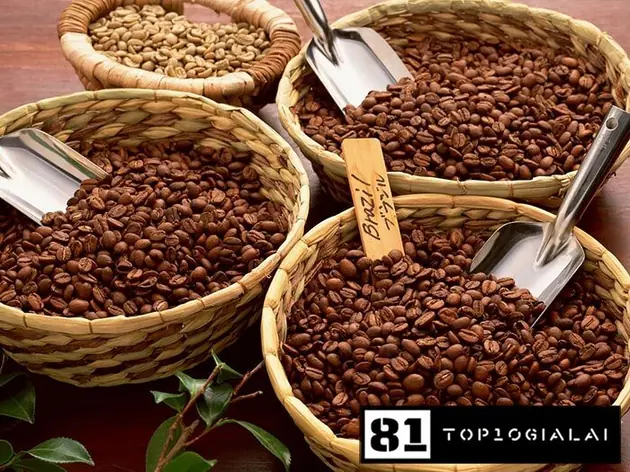 Công ty TNHH Hoa Trang Pleiku