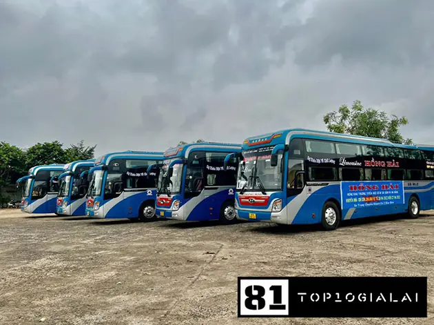 Hồng Hải Gia Lai