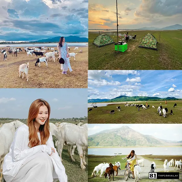 Bãi bồi Tiên Sơn