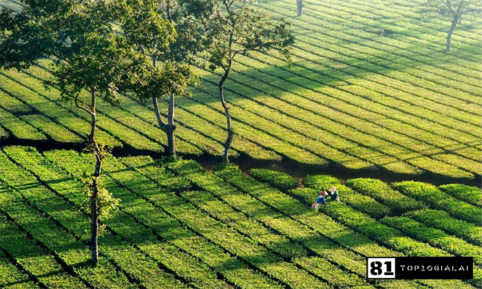 Du lịch 3 ngày 2 đêm Gia Lai