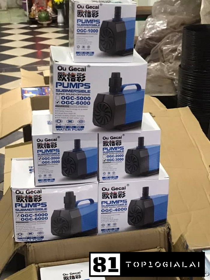 phụ kiện cá cảnh