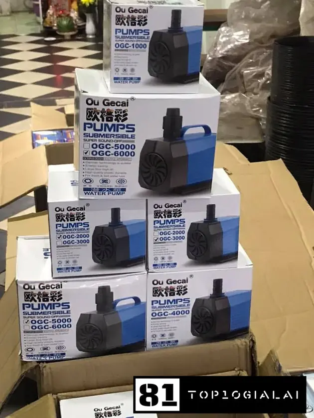 phụ kiện cá cảnh