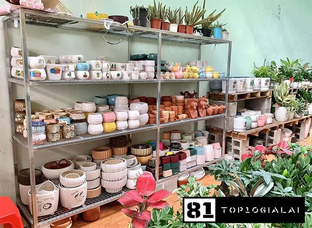 Bông Garden cây cảnh