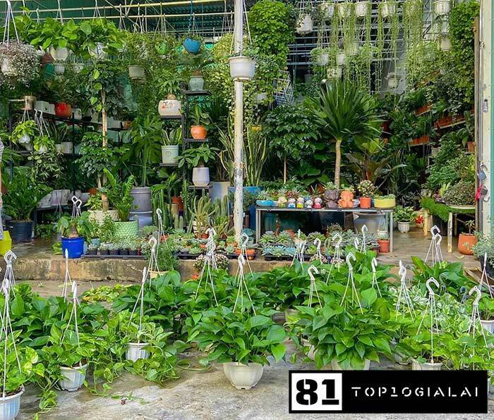 Pleiku Garden Gia Lai