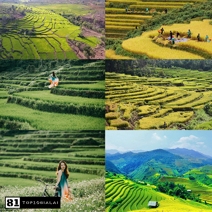 Du lịch 3 ngày 2 đêm Gia Lai