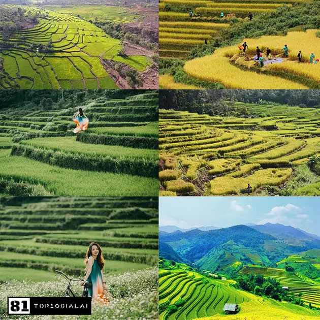 Du lịch 3 ngày 2 đêm Gia Lai