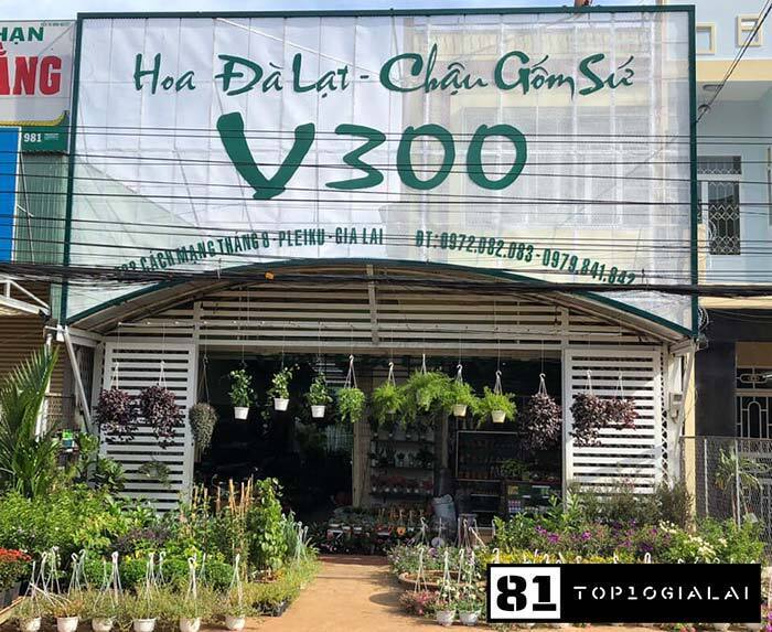 Shop hoa V300 Gia Lai