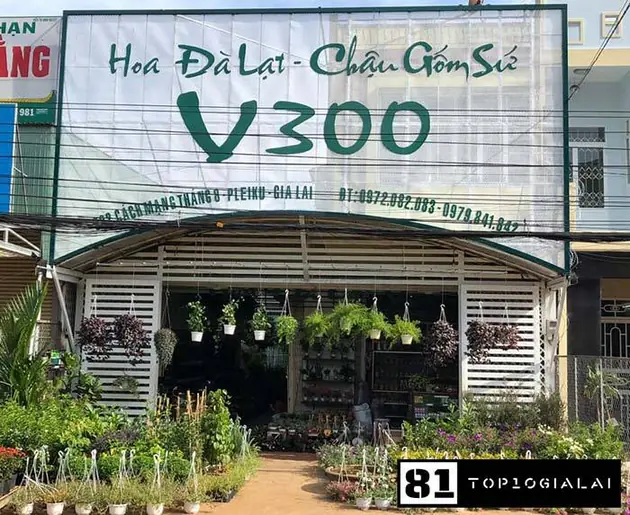 Shop hoa V300 Gia Lai
