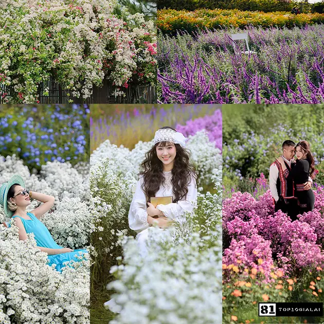 Du lịch 3 ngày 2 đêm Gia Lai