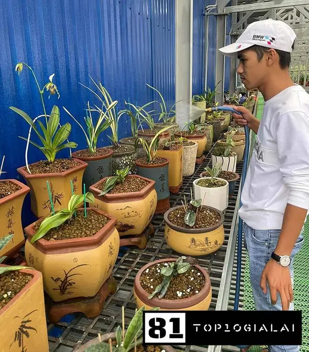 Vườn Xanh Gia Lai