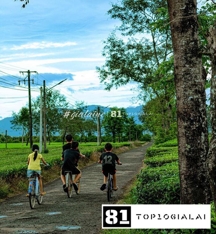 Cung đường chư đăng ya