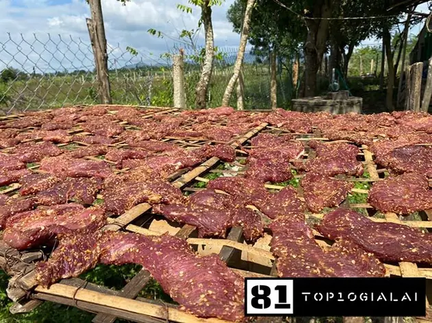 Bò một nắng Khoa Lam Gia Lai