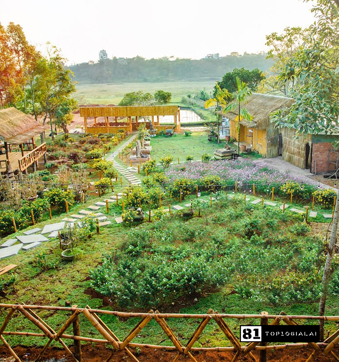 Gà nướng cơm lam Ia Lâm