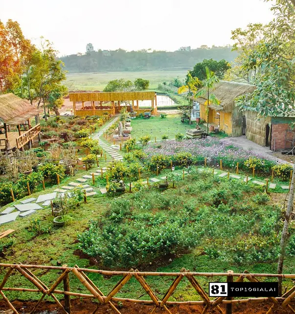 Gà nướng cơm lam Ia Lâm