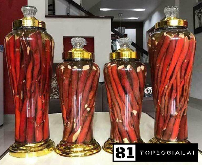 Bình rượu ngâm sâm cau