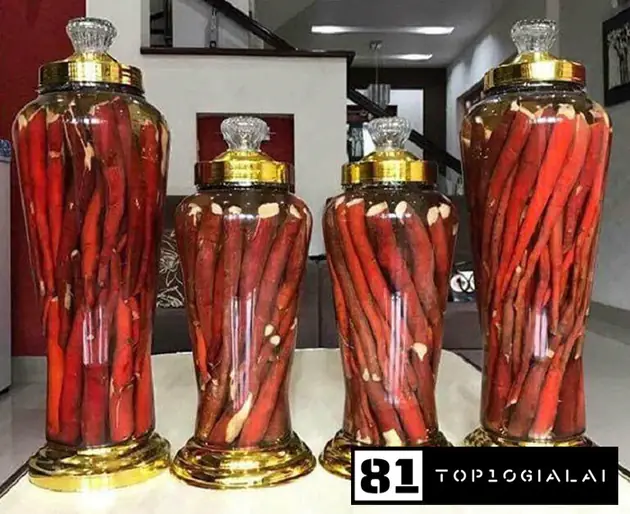 Bình rượu ngâm sâm cau