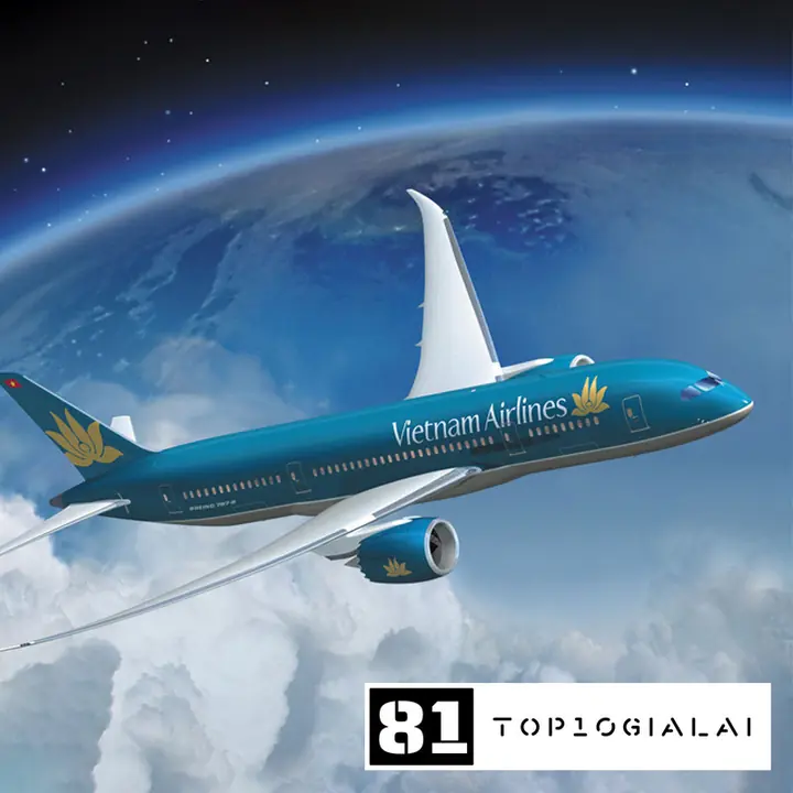 Dại lý vé máy bay Pleiku