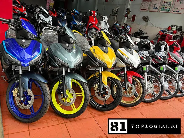 Xe máy cũ Thanh Trọng Gia Lai