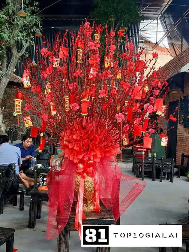 Hoa tươi Mr Tý Gia Lai