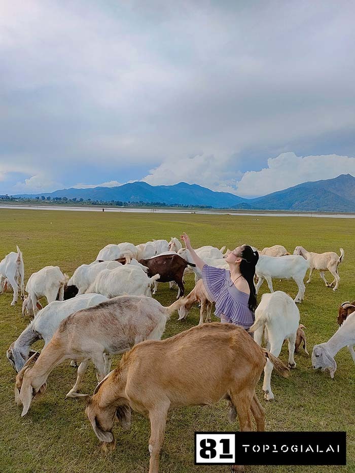 Bãi bồi Tân Sơn Check in Gia Lai