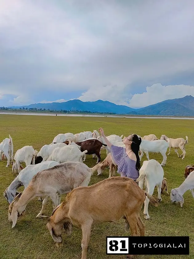 Bãi bồi Tân Sơn Check in Gia Lai