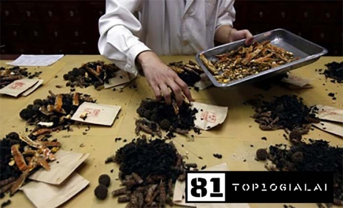 Đông Y Gia Lai Hải Đăng