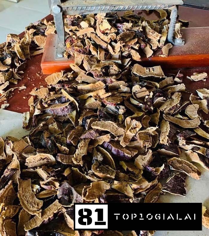 Phòng Chẩn Trị Đông Y Tư Nhân Hải Đăng