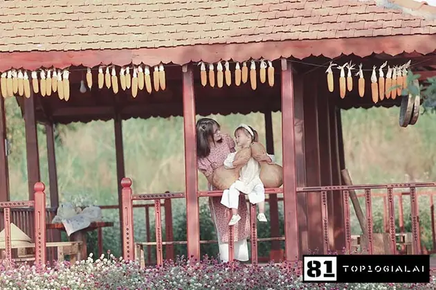 Check in Gia Lai Mai Châu Garden